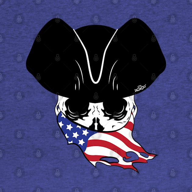 USA Pirate Logo by SEspider